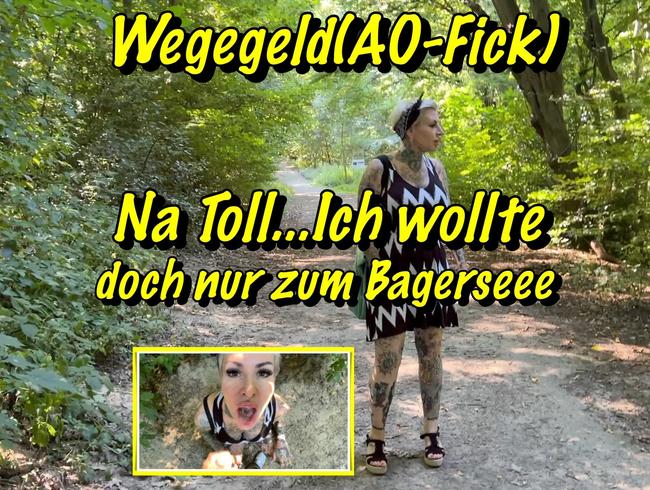 Wegegeld(AO-Fick)Na toll... Ich wollte doch nur zum Baggersee